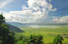 Ngorongoro Conservation Area Authority